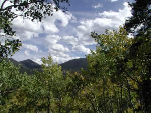 thm_fall view.jpg